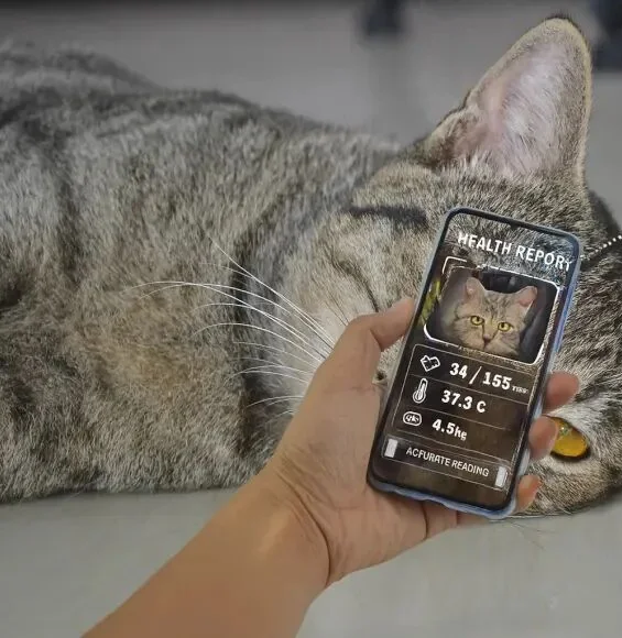 Pet AI Is Moving First Into Health, Diagnostics, and Veterinary Workflows