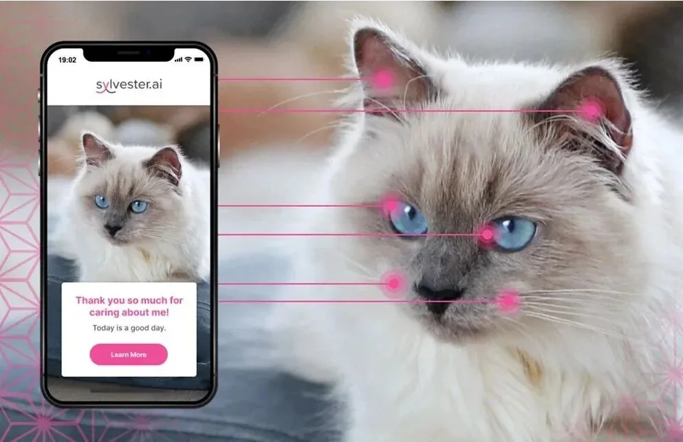 Sylvester.ai cat pain detection app concept