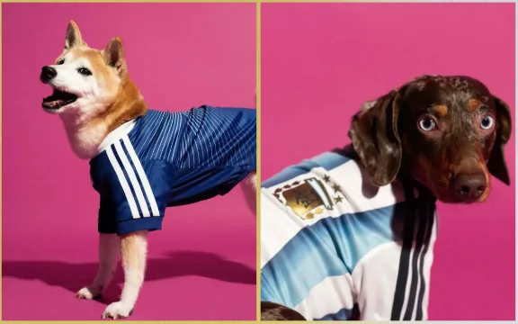 Pet soccer jersey product photos for global event merchandising