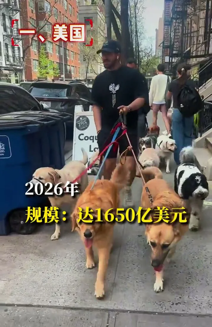Global Pet Market Ranking: Where Pet Product Exporters Should Look Next
