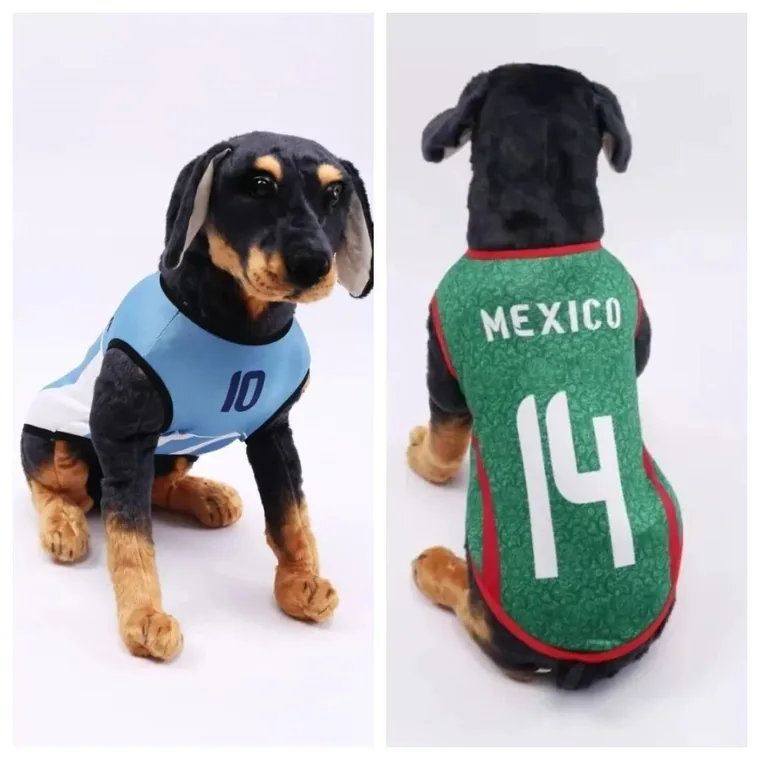 World Cup Pet Jerseys Show Why Foreign Trade Must Plan Around Global Events
