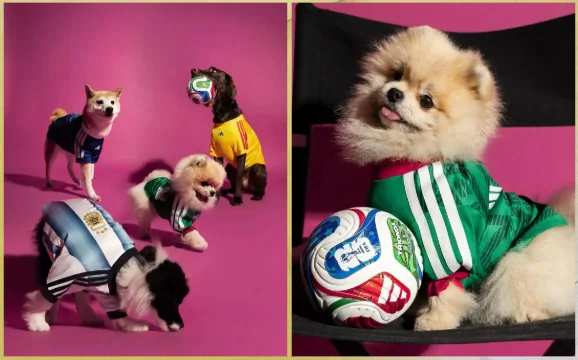 World Cup themed pet apparel product photos