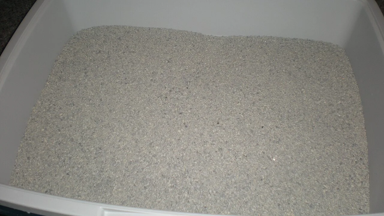 Cat Litter Is a Repeat-Purchase Category: What Buyers Should Check Before Adding It to a Pet Product Line