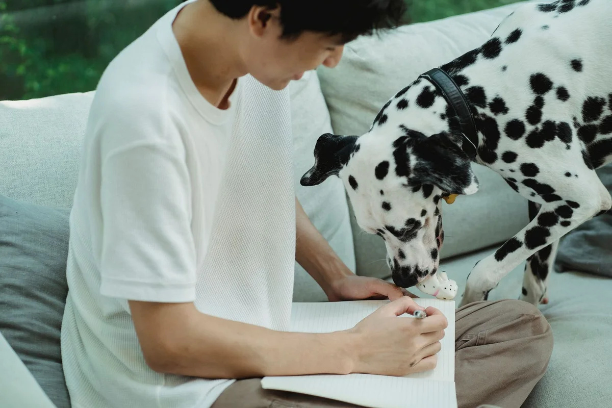 Pet Product Returns Are Product Data: What Brands and OEMs Should Learn Before the Next Production Run