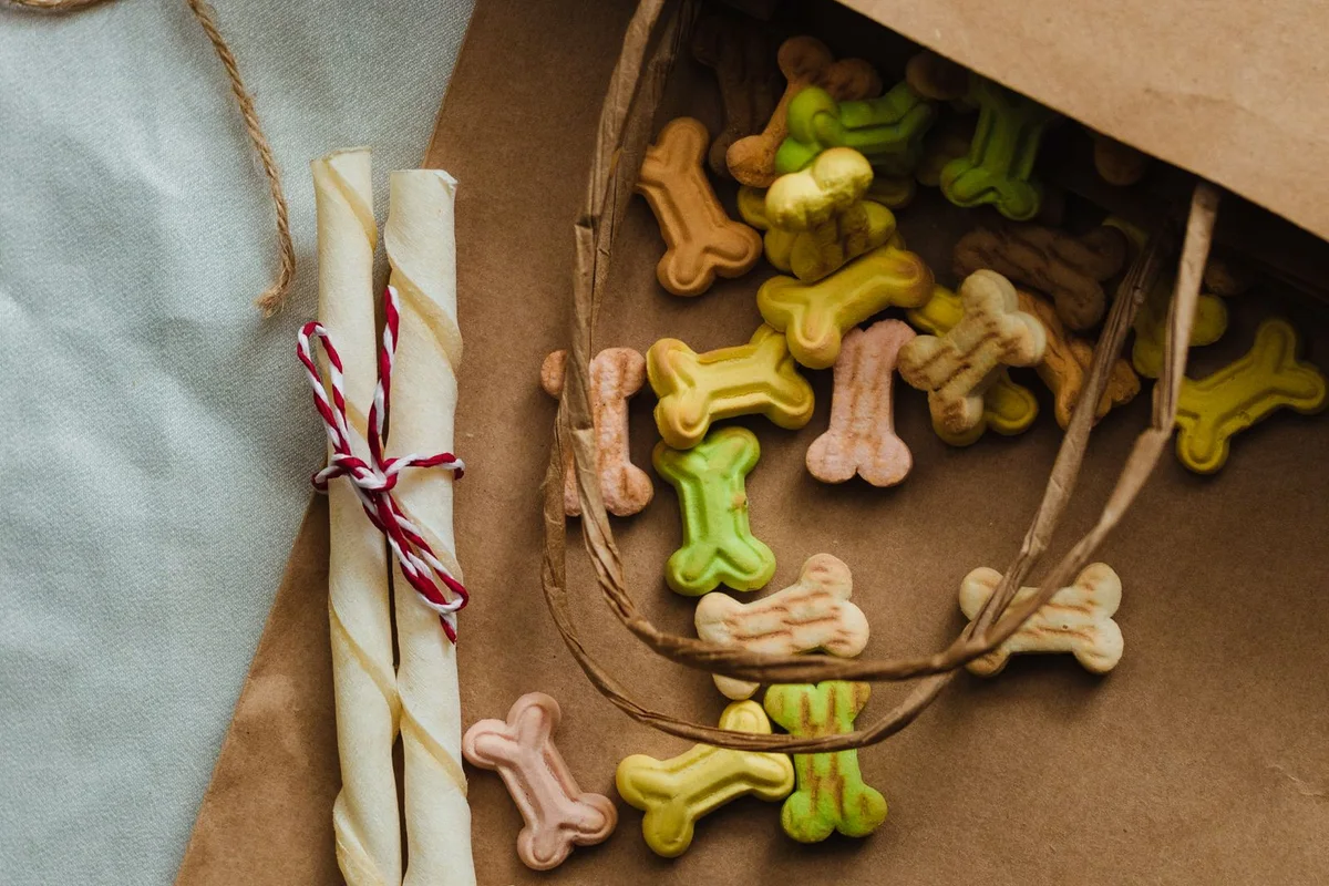 Dog treats arranged beside a plain cardboard package during product-packaging review