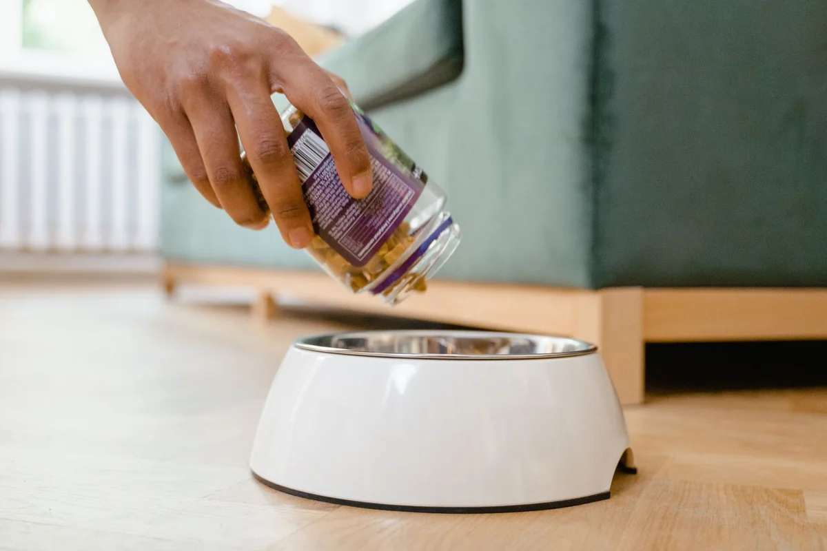 A Sample Is Not a Specification: How Pet Food Buyers Should Compare OEM Samples Before Production