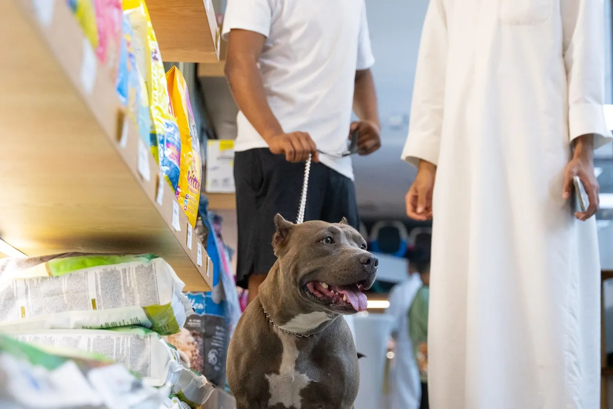 Pet Product Reorders Are an Inventory Decision: How Brands Should Balance Sell-Through, Shelf Life, and Supply Lead Time