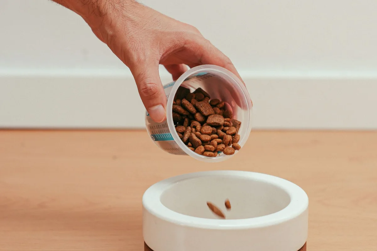 Pet Food Subscription and Auto-Replenishment: When It Builds Loyalty Instead of Just Discounting the Next Order
