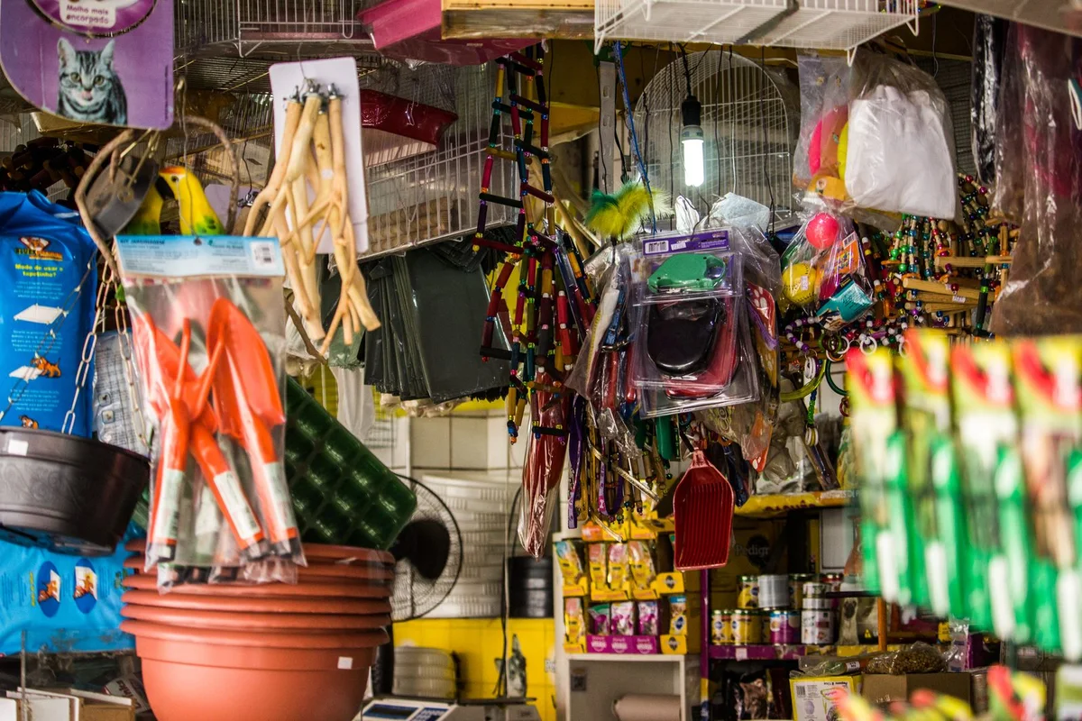 When Is a Pet Distributor Ready for Private Label? A Practical Test Before Building Its Own Range