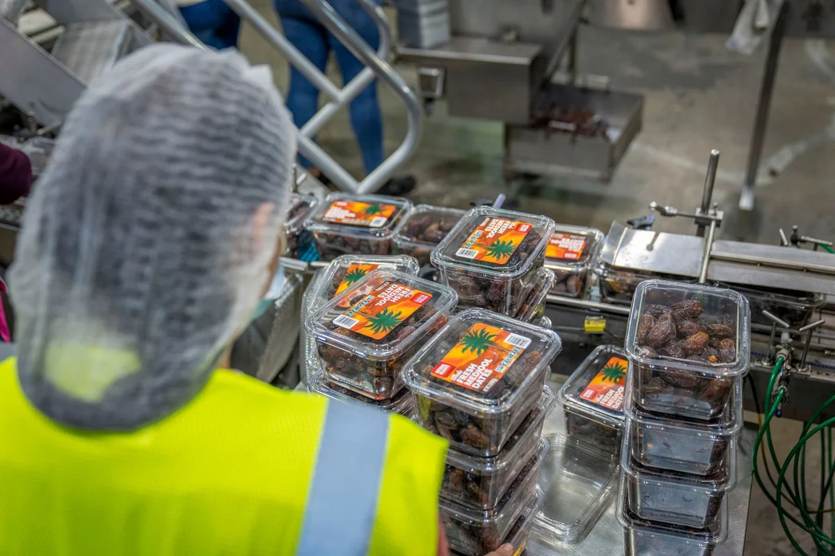 Worker reviewing products on a packaging line before shipment